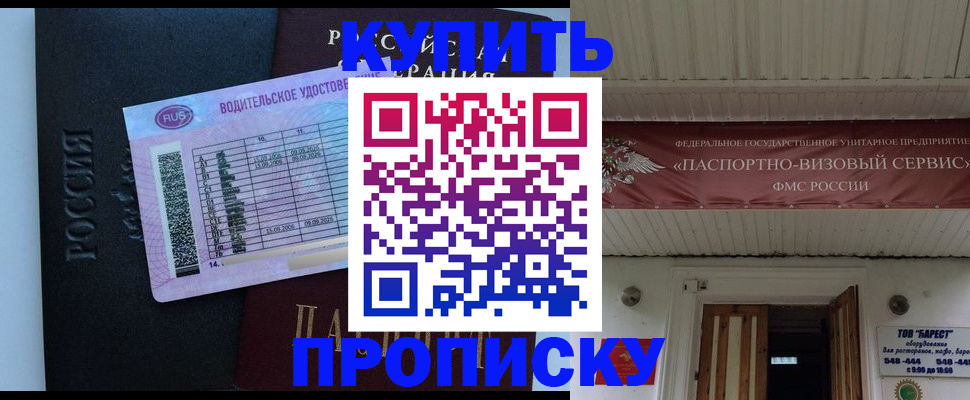 временная регистрация поиск в Камчатском крае